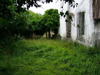 ESTRADA CASTELA 2