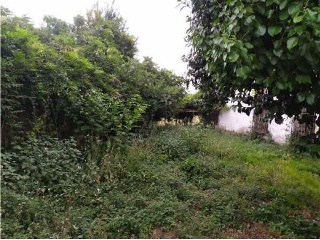 ESTRADA CASTELA 9