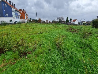 RAMALLOSA 2