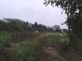 RAMALLOSA 7