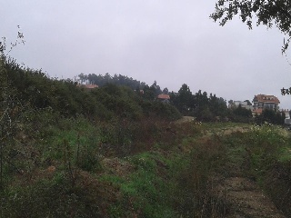 RAMALLOSA 9