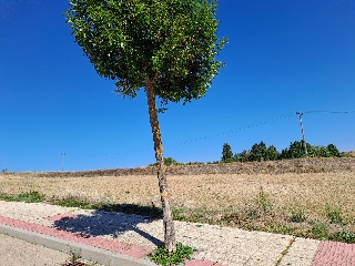 Calle Yeltes 2