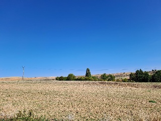 Calle Yeltes 7