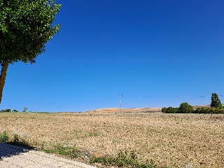 Calle Yeltes 8