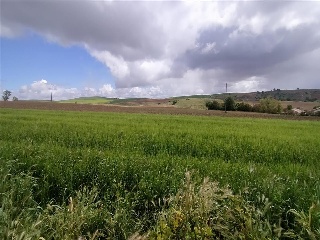 Calle Yeltes 17