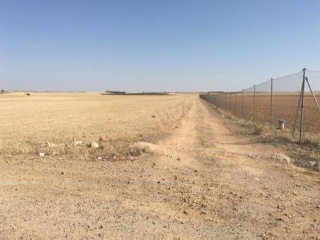 PARAJE LA GRUMONA, POLIGONO 34, PARCELA 4