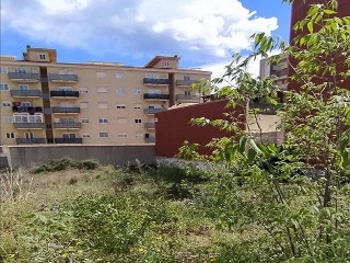 GINEBRO 7