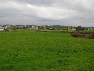 Polígono 11. Parcela 6 3