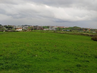 Polígono 11. Parcela 6 4
