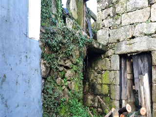 De Cruz 5