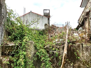 De Cruz 6