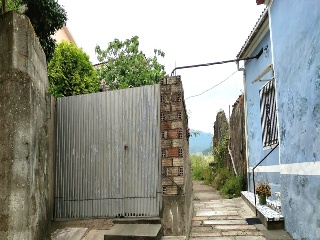 De Cruz 13