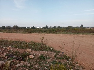 Pp S Gregori Cl H1A 2