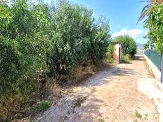 Bovar 4