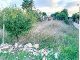 Bovar 5