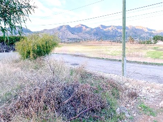 Bovar 7