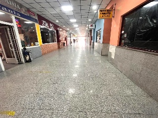 Guadalajara 13