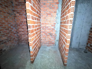 Progreso 12