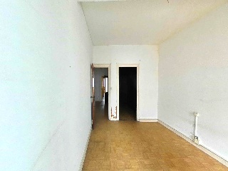 Espartero 5