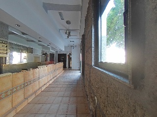 Ervedelo 6