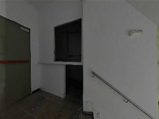 Limon Verde 10