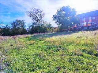 Pontona 5