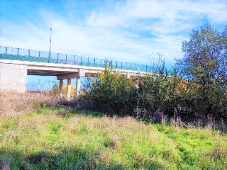 Pontona 6