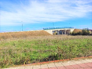 Pontona 7