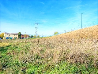 Pontona 8