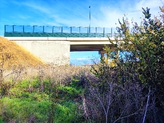 Pontona 9