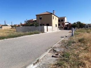 Huerta 4