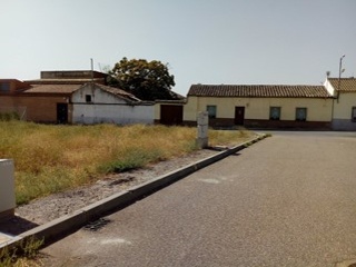 Huerta 5