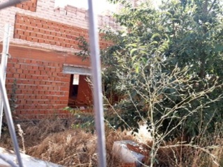 Huerta 3
