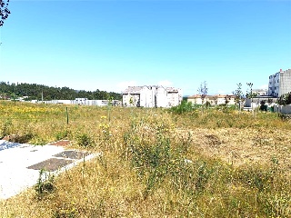 De Marín 4