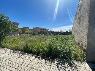 SIERRA DE GUADARRAMA 3