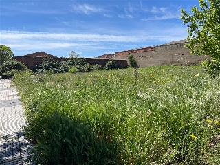 SIERRA DE GUADARRAMA 6