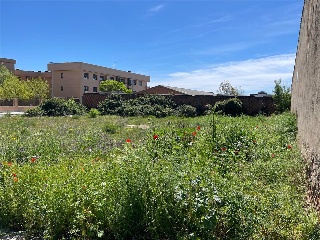 SIERRA DE GUADARRAMA 7