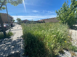 SIERRA DE GUADARRAMA 9