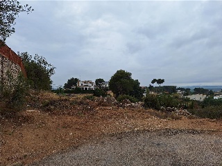 LLAURADORS 3