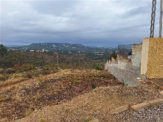 LLAURADORS 6