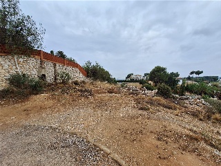LLAURADORS 8