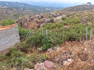 LLAURADORS 11