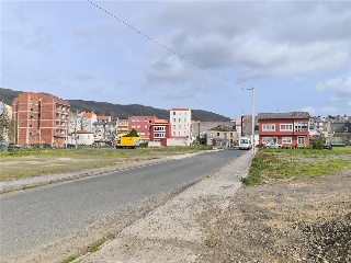 PITILLEIRA 14