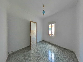 Angel Dotor 11