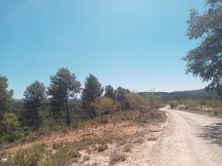Otros en venta en Mira