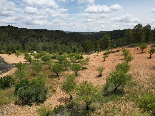Vallejo De La Tia Casta 7