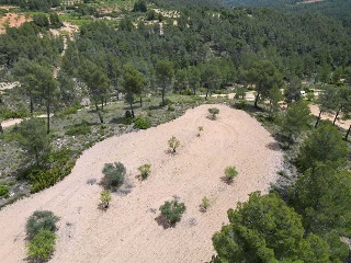 Vallejo De La Tia Casta 20