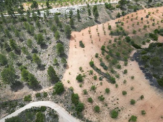 Vallejo De La Tia Casta 21