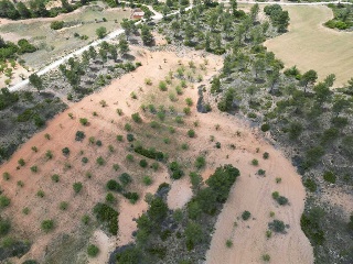 Vallejo De La Tia Casta 23