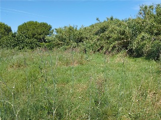 PORT DE LA SELVA 3
